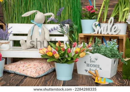 Spring photo shoot. Decorations green grass, tulips, Christmas bunny. Photo studio for clients is brightly decorated in spring. Family. Bright festive background. Greetings and postcards. 