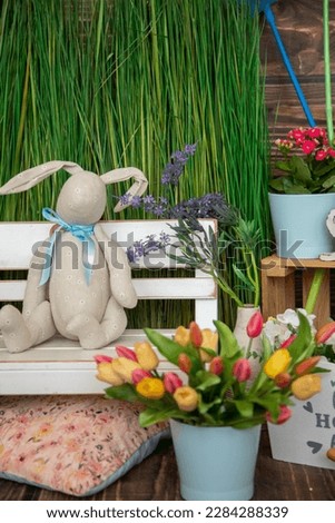 Decorations green grass, tulips, bunny. Photo studio for clients is brightly decorated in spring. Festive decor. Spring photo shoot. Bright festive background. Greetings and postcards.