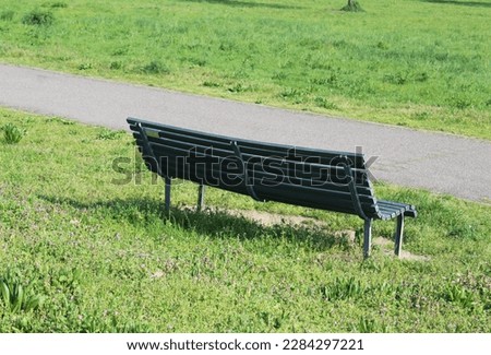 An empty bench in the middle of the park