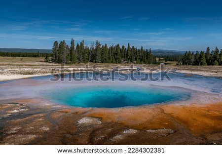 Opal Pool hot spring -Yellowstone National Park, Wyoming 