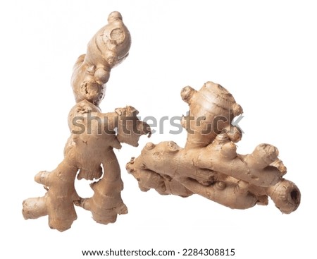 Ginger fall fly in mid air, fresh vegetable spice ginger falling. Organic fresh herbal ginger root head full length, close up texture. White background isolated freeze motion high speed shutter