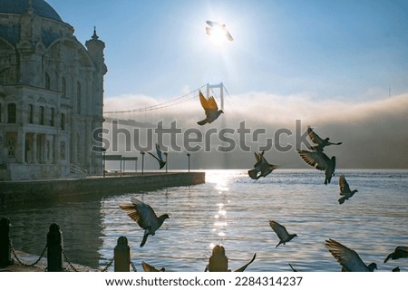 Pigeons flying over the Bosphorus on a foggy morning. The 15 July Martyrs Bridge and Ortakoy Mosque in a fog.  Royalty-Free Stock Photo #2284314237