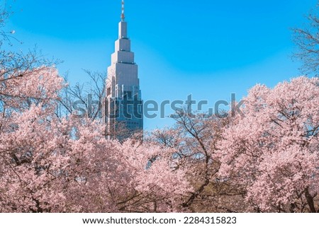 Shinjuku Gyoen Cherry Blossoms, Shinjuku Gyoen National Garden, Naitomachi, Shinjuku City, Tokyo Royalty-Free Stock Photo #2284315823