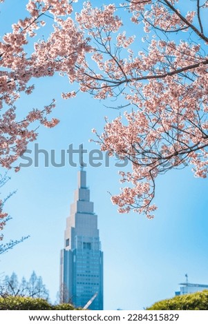 Shinjuku Gyoen Cherry Blossoms, Shinjuku Gyoen National Garden, Naitomachi, Shinjuku City, Tokyo Royalty-Free Stock Photo #2284315829