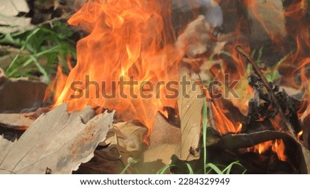 blur picture of burning dried leaf flame orange hot flame