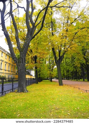 Picture of colorful trees in the park Saint Petersburg, Russia.