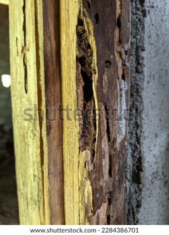 A picture of a door frame eaten by termites