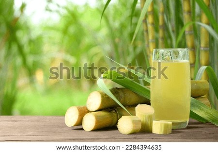 Fresh squeezed sugar cane juice with sugar cane plantation farming background. Royalty-Free Stock Photo #2284394635