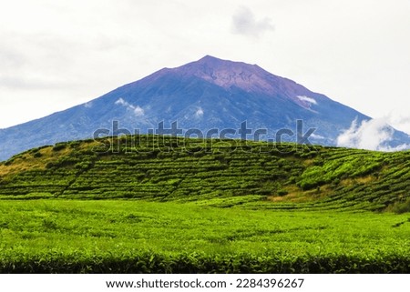 Mount Kerinci (Gunung Kerinci) is the highest mountain in Sumatra, the highest volcano and the highest peak in Indonesia with an altitude of 3805 masl, located in the Kerinci Seblat National Park area Royalty-Free Stock Photo #2284396267