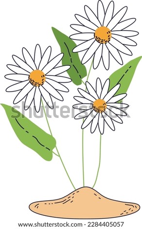 This is an illustration of flowers in a pot with leaves. Hand drawn vector illustration of a branch with flowers and leaves.