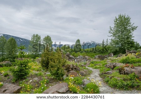 Tromso, Norway - June 30, 2020: View of The Arctic–Alpine Botanic Garden in summer Royalty-Free Stock Photo #2284430761