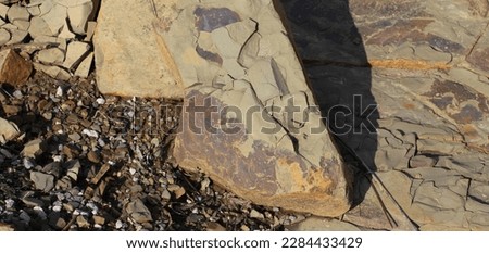 Photograph of dry yellowed soil and rocks on a country road on a summer day. Crushed brown soil that has been wet and dried in the rain. amazing natural nature photo. soil background.