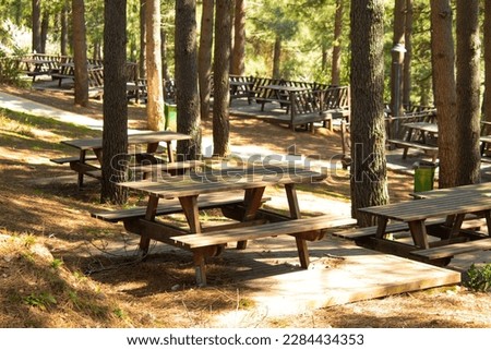 Picnic tables in Beykoz Karlıtepe recreation area. Picnic tables in the trees. Space to spend time in nature idea concept. Landscape. No people, nobody. Horizontal photo. Silence, peace, relaxation.
