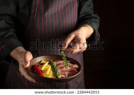 Chef puts rosemary on a plate with sliced steak and cheese. The concept of serving dishes to order by a waiter with a place for advertising on a dark background