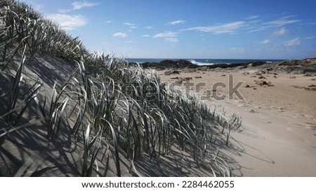 North Stradbroke Island Sand dunes and beach views at Deadman's Beach with sea Surf views for a great holiday destination. April 2023.  Royalty-Free Stock Photo #2284462055