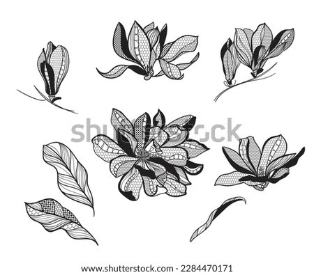 lace flower magnolia, bouquet, set,  vector illustration