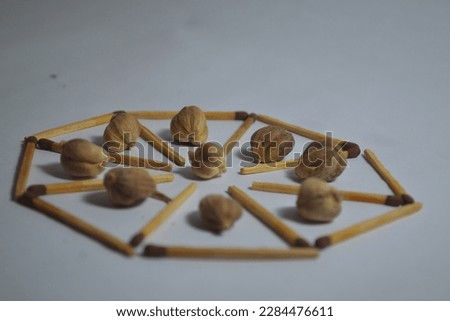 A circle of matches with a walnut and a walnut on the top