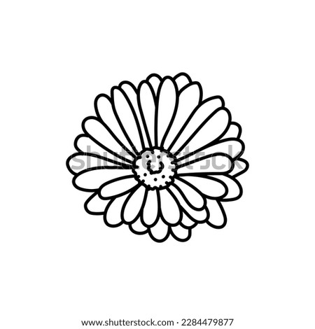 Calendula flower black line icon. Pictogram for web page, mobile app, promo. Royalty-Free Stock Photo #2284479877