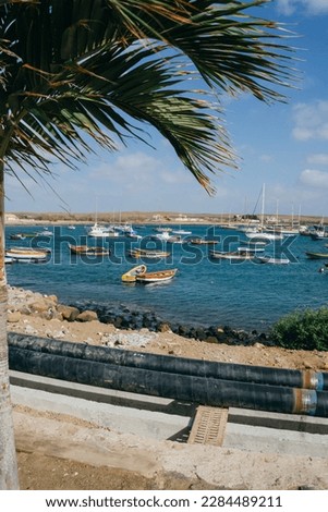 The traditional african colorful wooden boats and sailing boats on the water in the harbor near the shore against the blue cloudy sky visible from behind a palm tree. Vertical picture.  