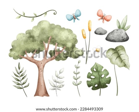Watercolor illustration set of leaves and nature elements