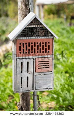 A wooden house, an ideal natural shelter for ladybugs