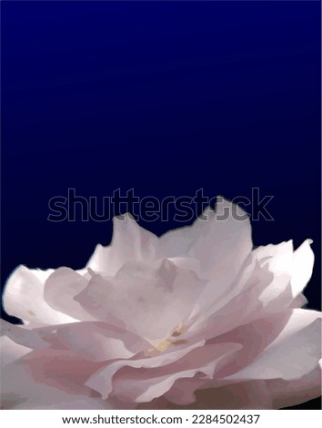 Traced image. Soft pink flower. Pink rose.