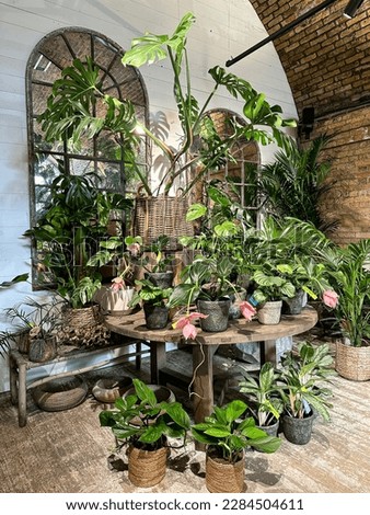 Charming flower house plant shop. Charming cozy house plant shop. Many different plants in flower pots in flowers store. Garden center and wholesale supplier concept. Green background. Lots of leaves.