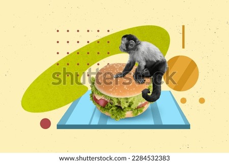 Composite collage picture of black white monkey chimpanzee sit big burger isolated on drawing creative background