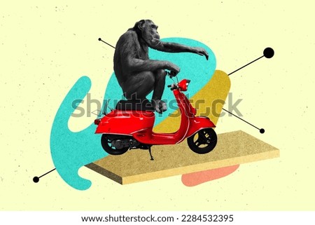 Creative collage portrait of black white effect monkey driving scooter isolated on creative painted background Royalty-Free Stock Photo #2284532395