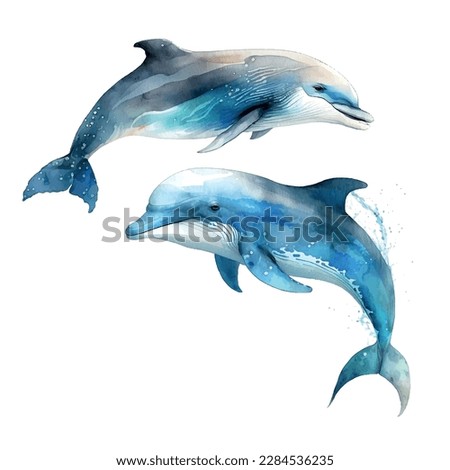 Dolphin Watercolor vector element. Tattoo watercolor hand draw Royalty-Free Stock Photo #2284536235