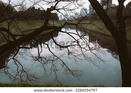 view of the river and the city through the branches