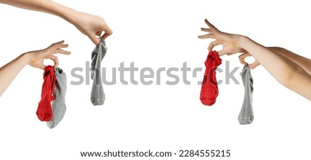 Hand holding dirty socks isolated. Laundry, household chores concept, smelly sock, sweaty cotton underwear, used dirty socks on white background, clipping path Royalty-Free Stock Photo #2284555215