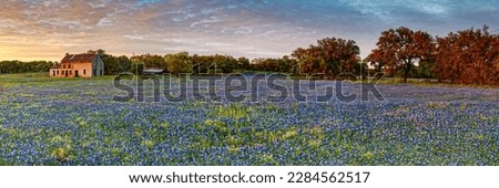 Golden Hour Sunset Panorama of the Bluebonnet House in Marble Falls Burnet County Texas Hill Country Royalty-Free Stock Photo #2284562517