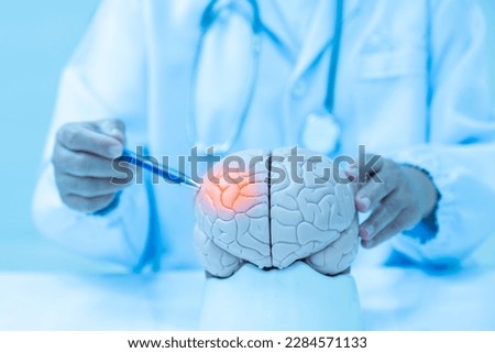 Neurologist hand pointing brain anatomy human model and brain disease lesion on white background.Part of human body model with organ system for health student study in university.Medical education. Royalty-Free Stock Photo #2284571133