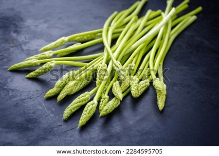 Raw green wild asparagus offered as close-up on a rustic black board 