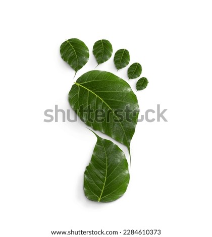 green leaf growing footprints, co2 symbol isolated on White Background. Reduce CO2 emission concept.Clean and friendly environment without carbon dioxide emissions. Royalty-Free Stock Photo #2284610373