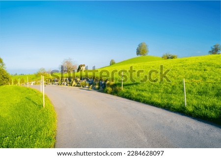 The Swiss countryside. Road. Tree on top of the hill. Fields and pastures. Agricultural landscape in summer time. High resolution photo.