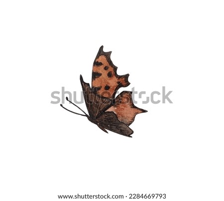Brown butterfly in flight, watercolor illustration on an isolated background, summer insect