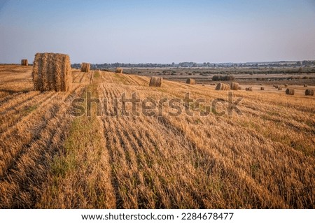 On an early autumn evening, bales of straw are waiting to be picked up from the field.