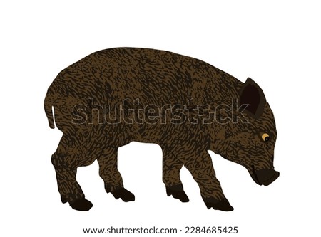 Baby pig vector illustration isolated on white background. Pork meat. Farm animal symbol. Domestic swine. Breeding boar. Organic food. Little piglet symbol. Butcher shop wallpaper poster.