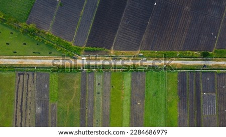 Landscape of the ricefields and rice terrace near Kulon Progo, Yogyakarta in indonesia in southeastasia. Aerial drone view.