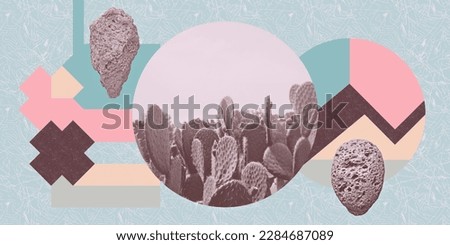 Contemporary digital collage art. Modern trippy design. Stone, cactus and abstraction geometry background