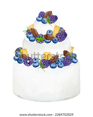 Creamy cake decorated with blueberries, blackberries and chocolate. Watercolor holiday clipart for greeting cards, invitations, menus, logos, fabric prints. Wedding, birthday, anniversary design.