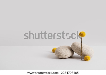 Empty stone podium and yellow flower on light grey background. Eco backdrop. Round natural rock and bloom. Abstract pedestal or showcase. Minimal wabi sabi. Meditation and balance concept. Copy space.