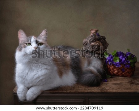 Portrait of pretty kitty and violet flowers