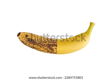 Rotten spoiled and ripe half banana fruits isolated on white background. Good fresh and bad old bananas. Healthy food and fruit waste. Royalty-Free Stock Photo #2284755801