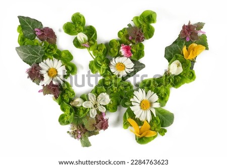 Letter symbol W of colorful field fresh flowers isolated on white