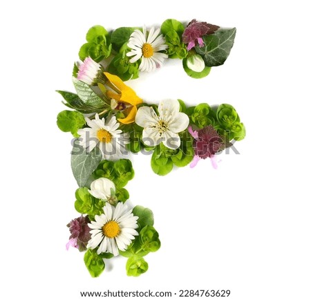 Letter symbol F of colorful field fresh flowers isolated on white