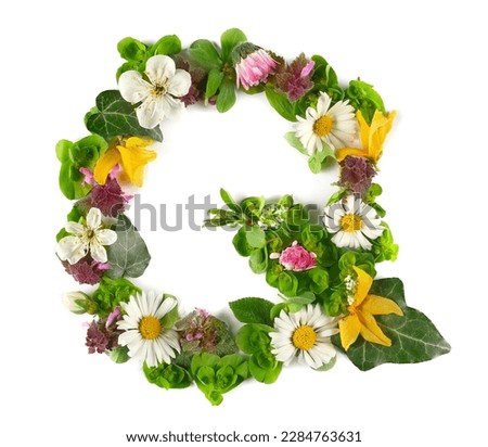 Letter symbol Q of colorful field fresh flowers isolated on white