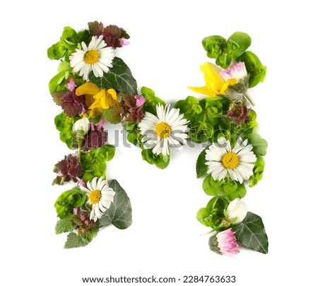 Letter symbol M of colorful field fresh flowers isolated on white